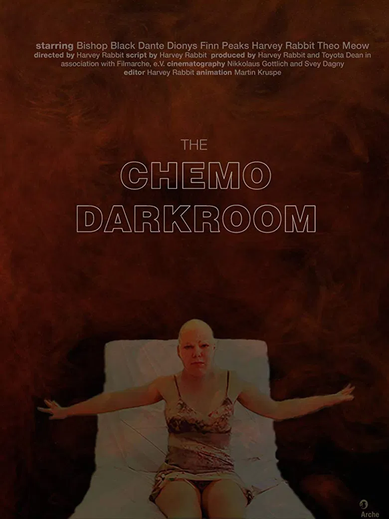 The Chemo Darkroom poster background