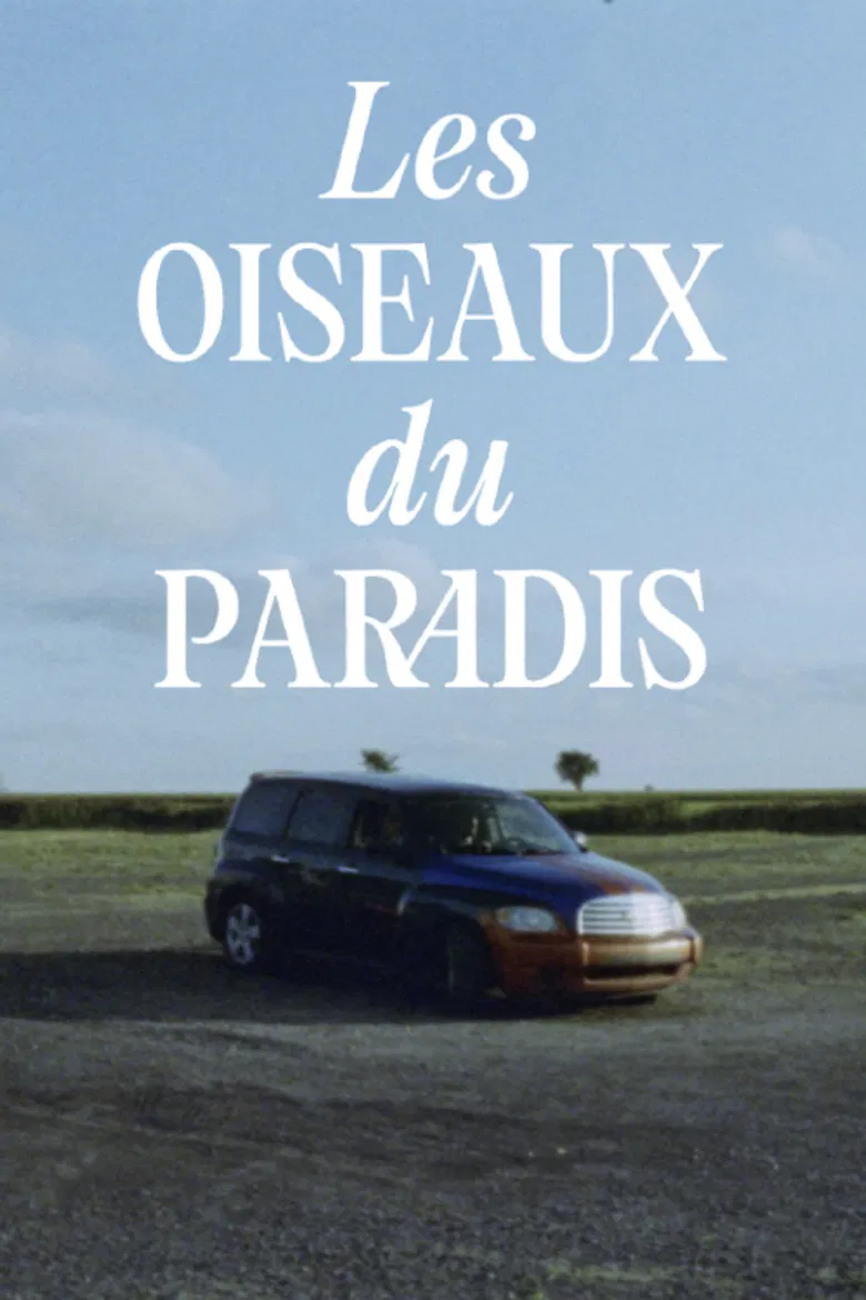 Les oiseaux du paradis poster background