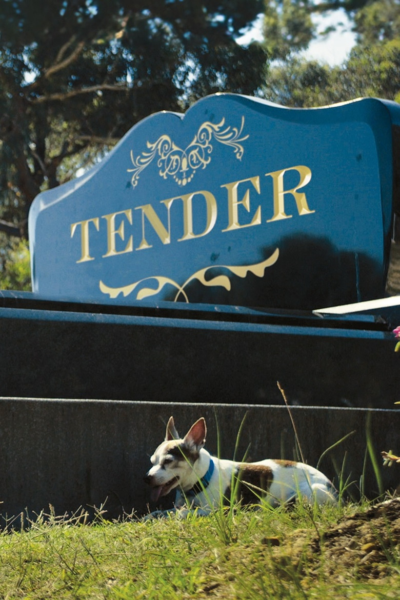 Tender poster background