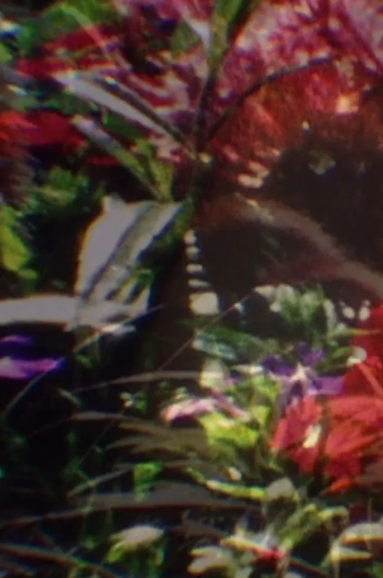 Return to Nature! The True Natural Method of Healing and Living and the True Salvation of the Soul: Paradise Regained—The Core of the Body—Water, Human Curative Power, Light, Air, Earth, Food, Fruit Culture poster background