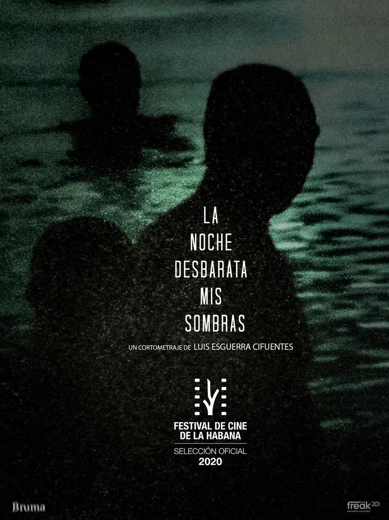 La Noche Desbarata mis Sombras poster background