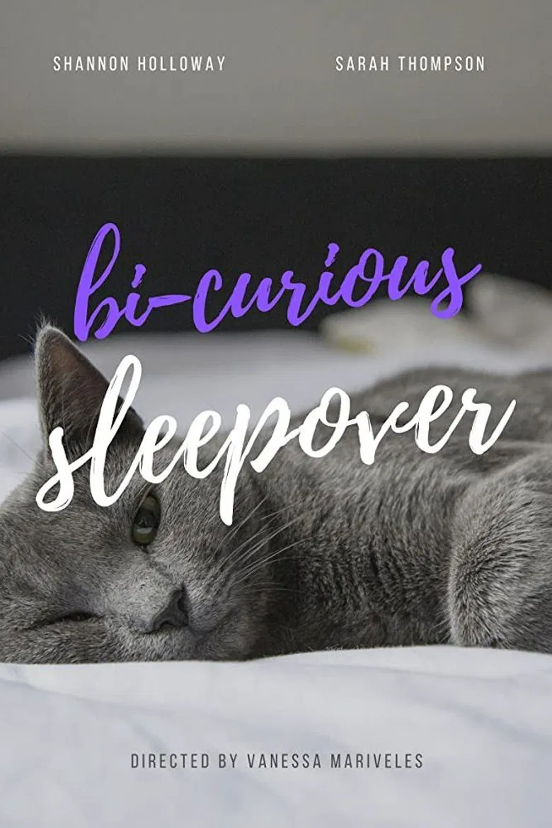 Bi-curious Sleepover poster background