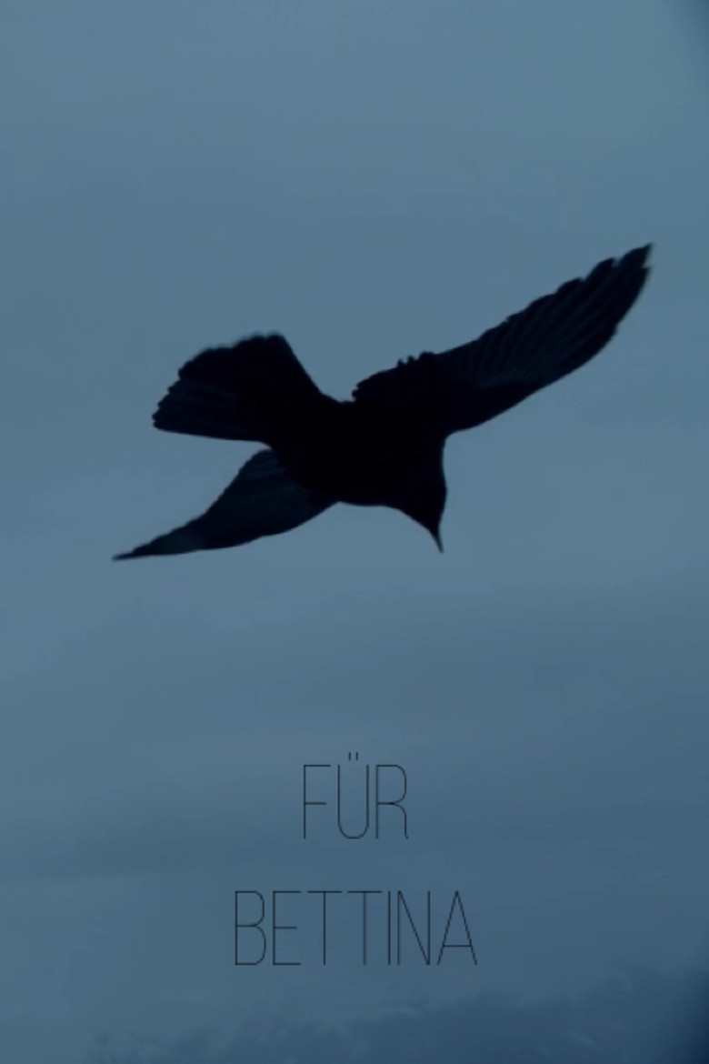 Für Bettina poster background