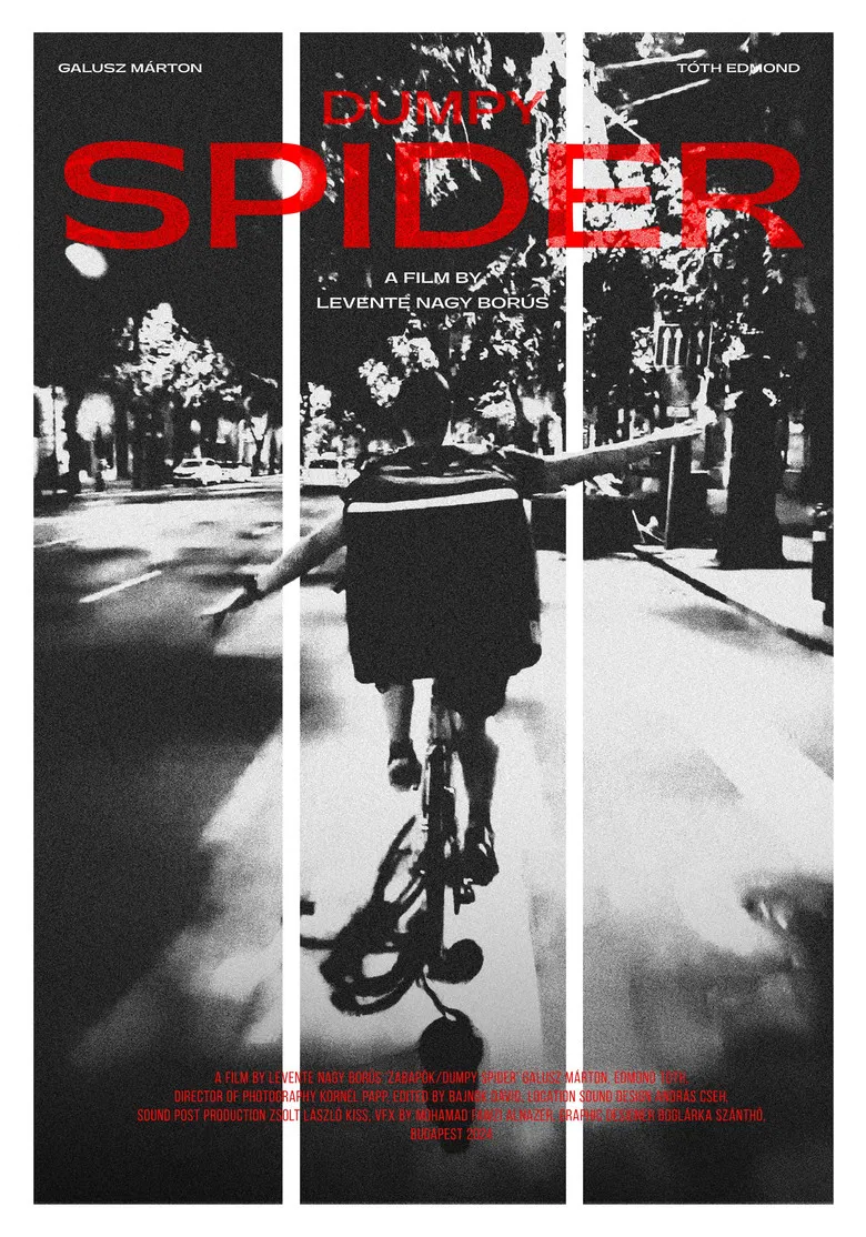 Dumpy Spider poster background