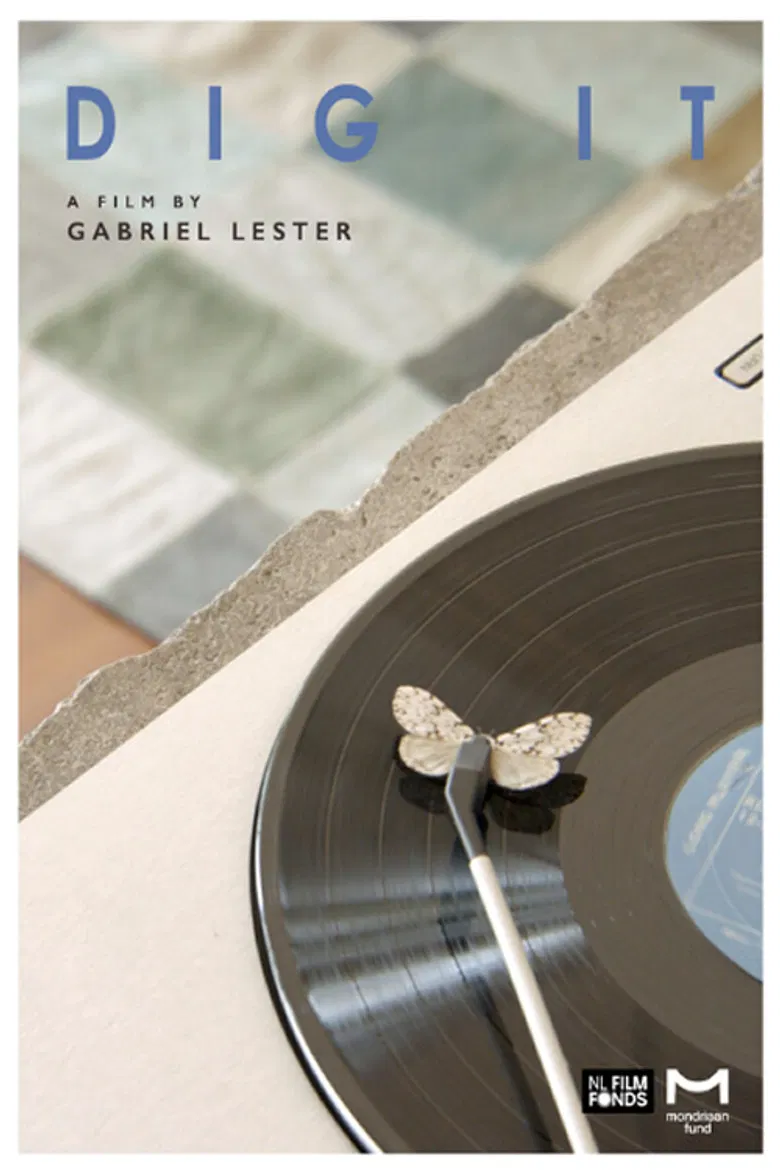 Dig It poster background