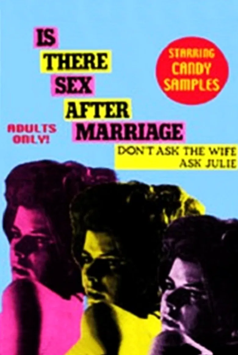Is There Sex After Marriage poster background