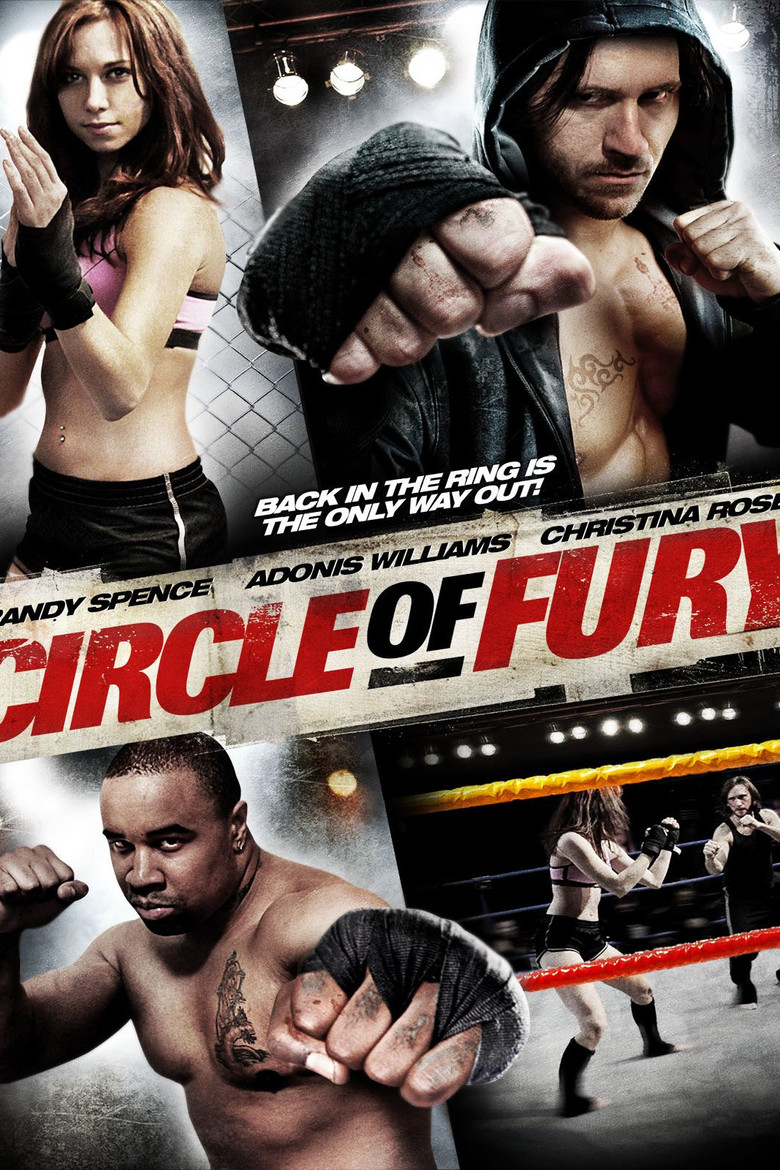 Circle of Fury poster background
