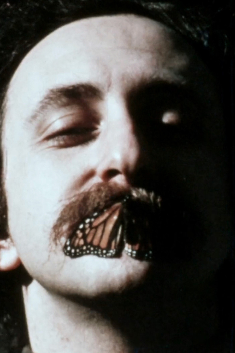 The True Light Beaver Film: After the Revolution poster background