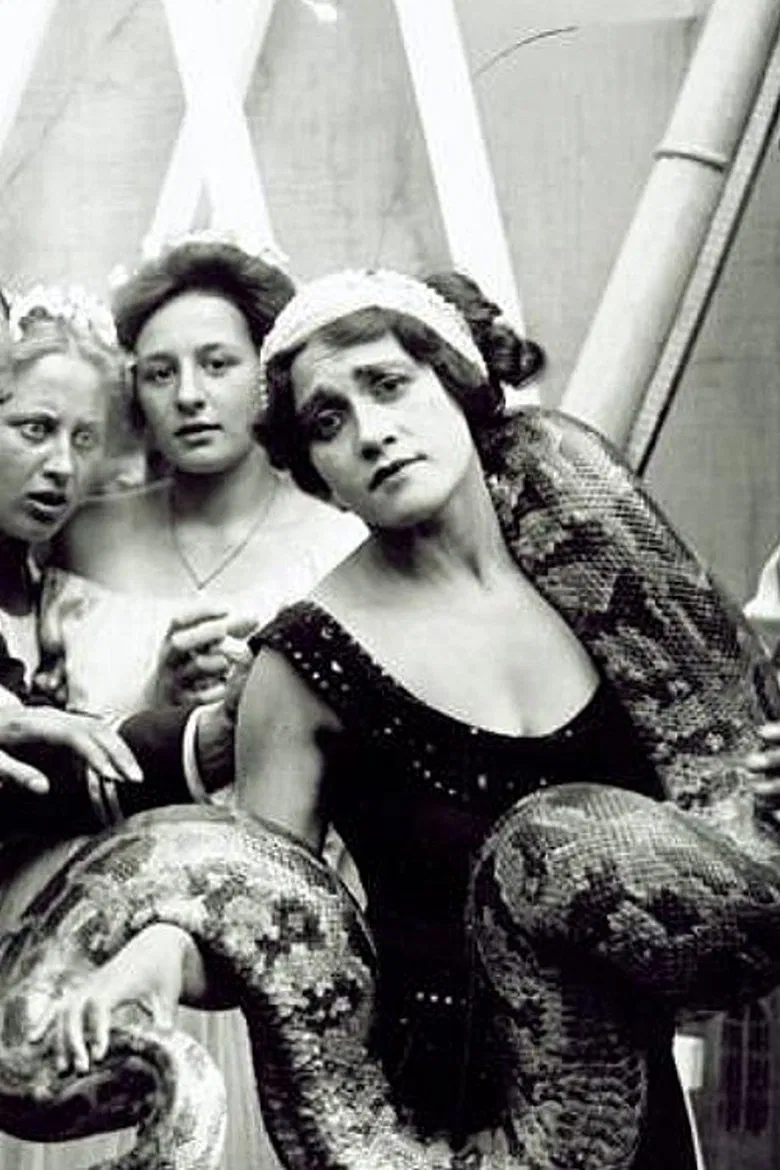 In a Den of Lions poster background