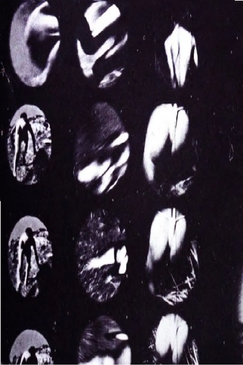 Experiment 002 poster background