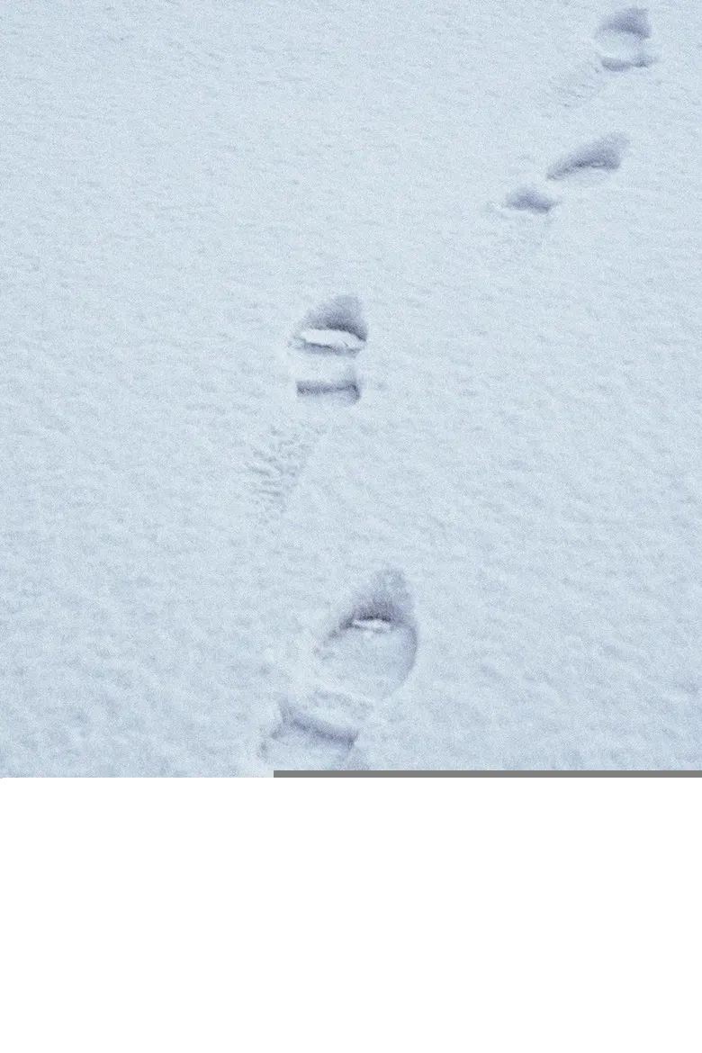 Terza passeggiata - Sulla neve poster background