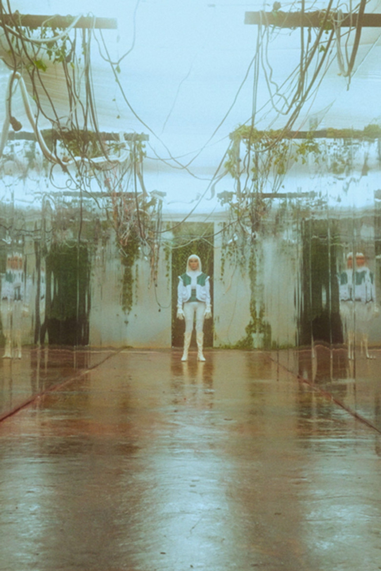 Fossilis poster background