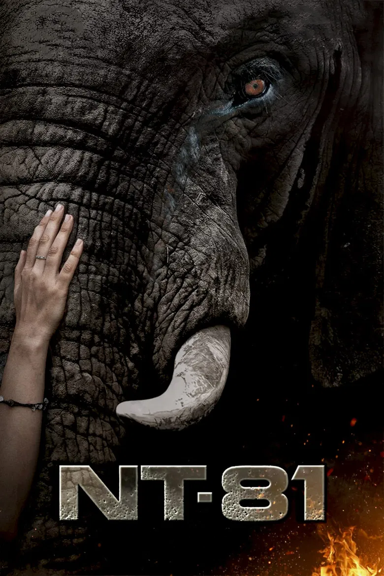 NT81 poster background