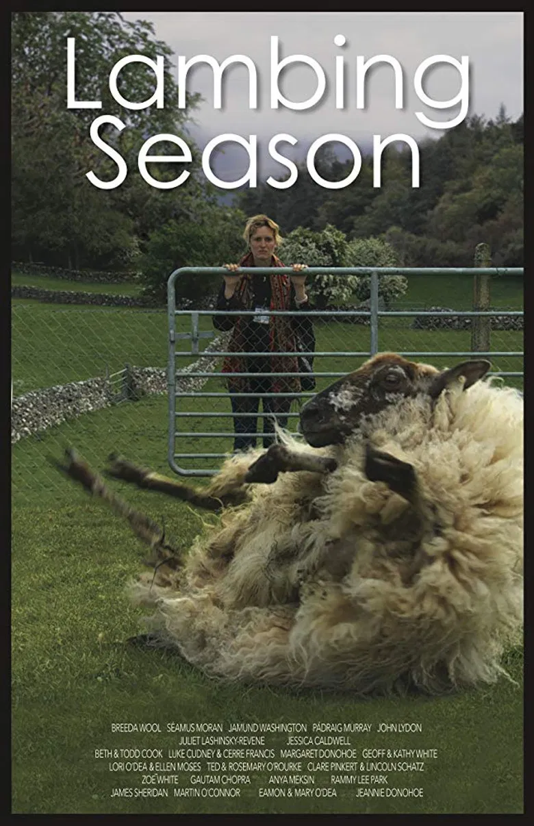 Lambing Season poster background