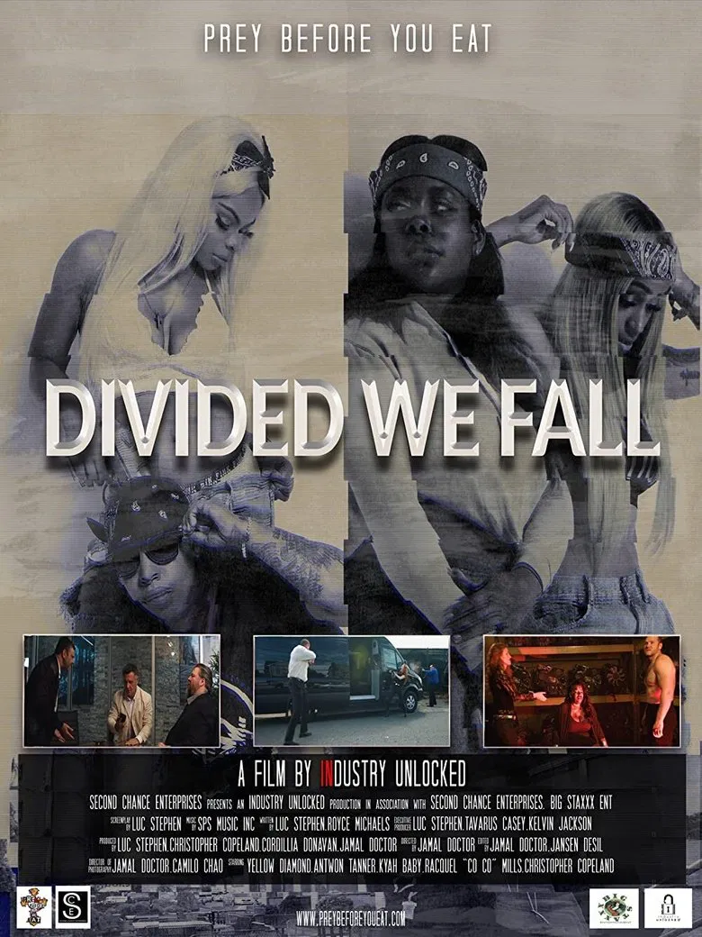 Divided We Fall poster background