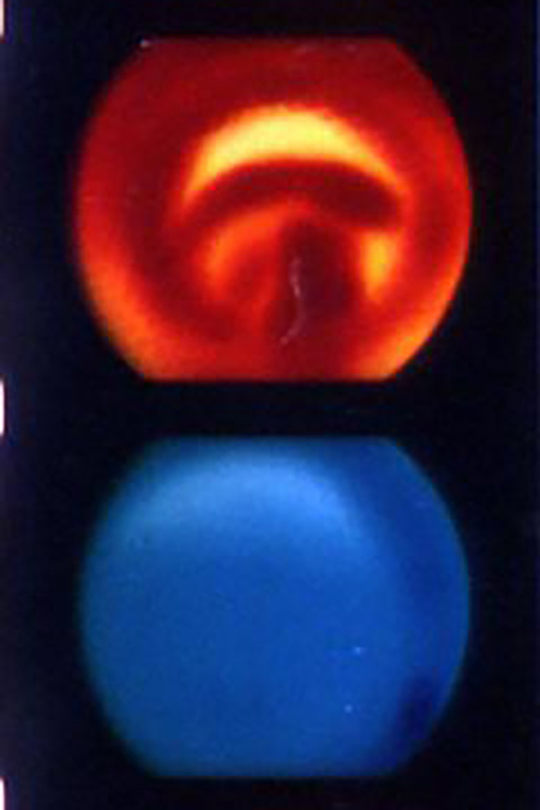 Iris poster background