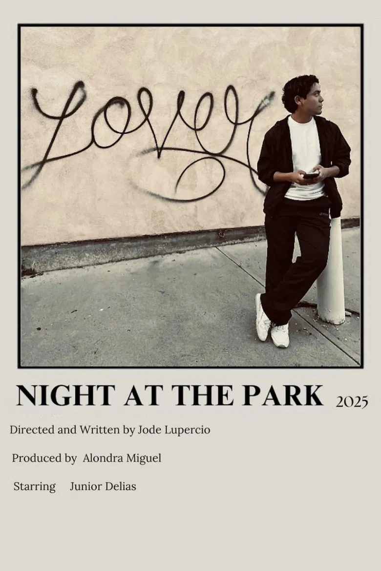 Night at the Park poster background