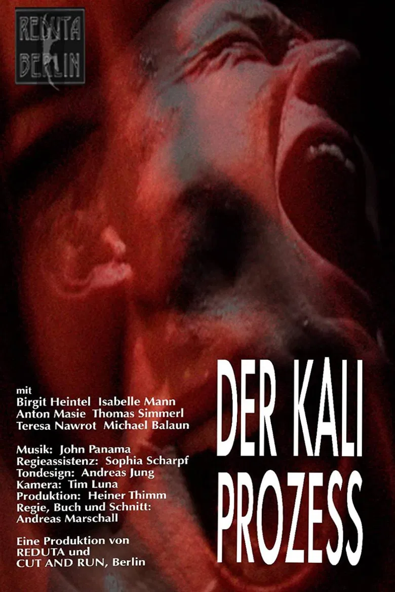 Der Kali Prozess poster background