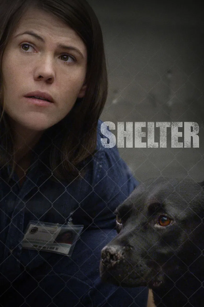 Shelter poster background