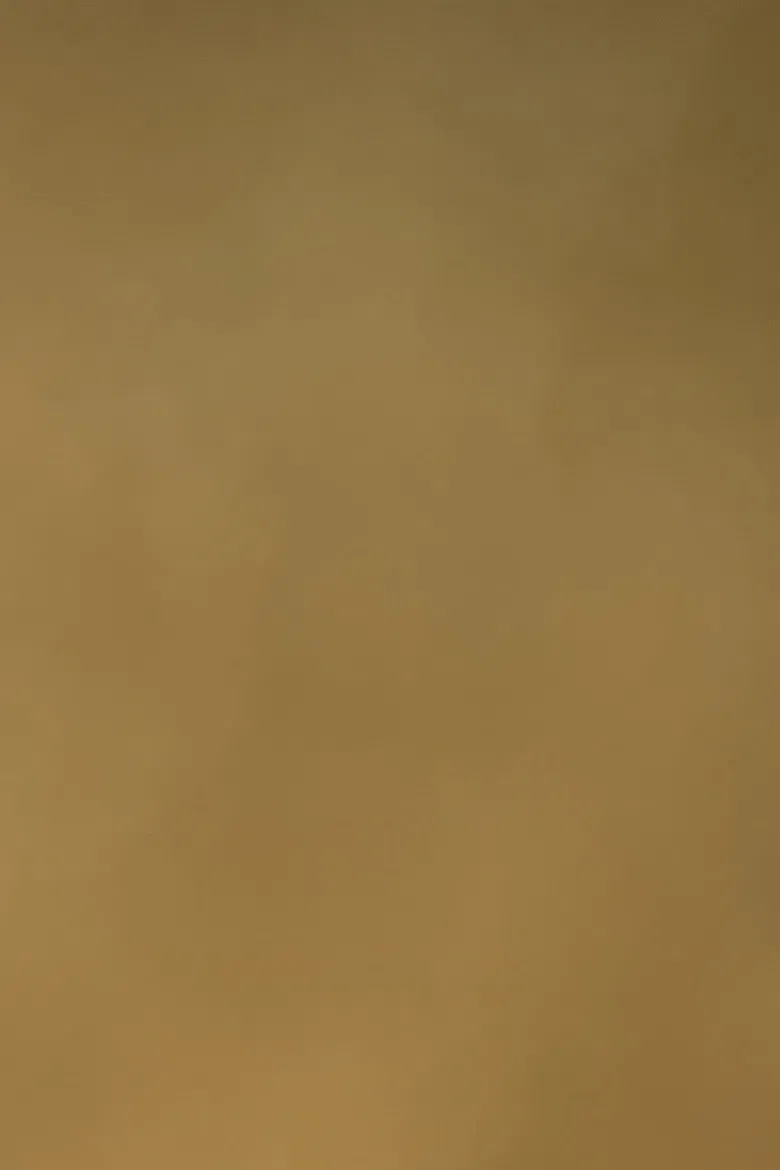 Sky Journal II [Yellow] poster background