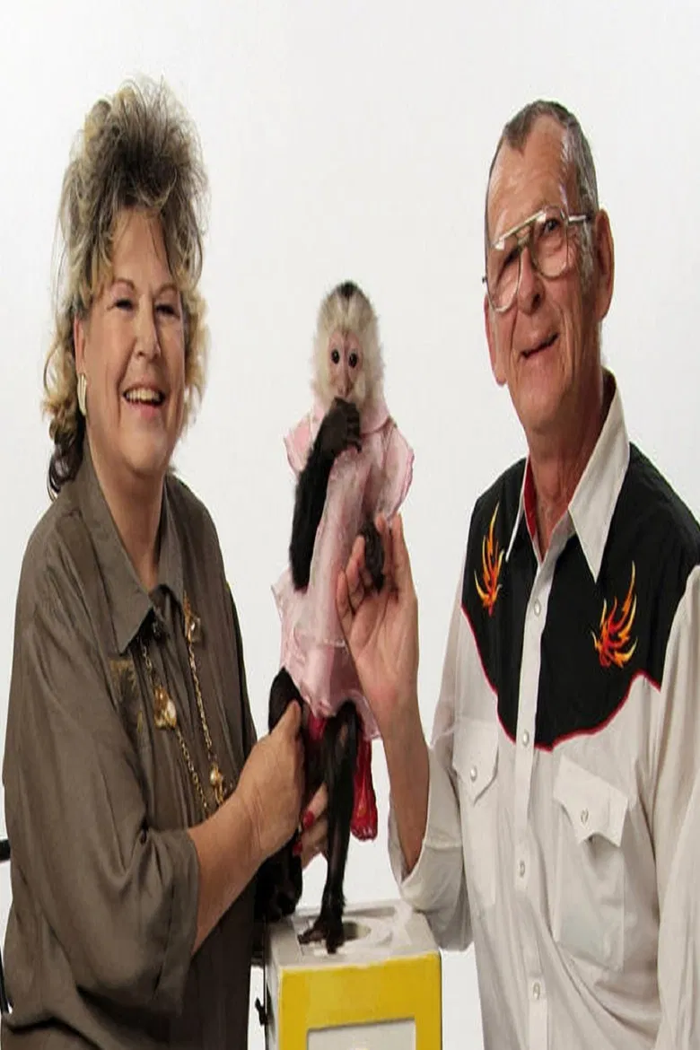 My Monkey Baby poster background