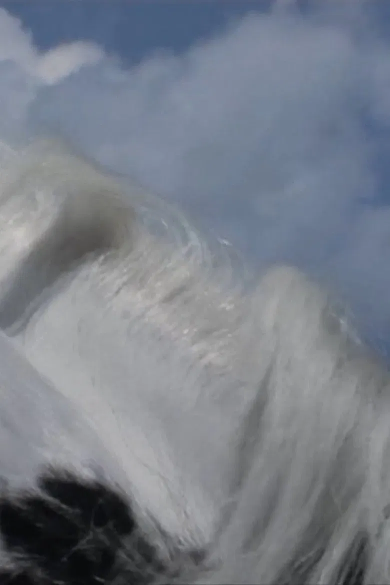 Maidenhair poster background