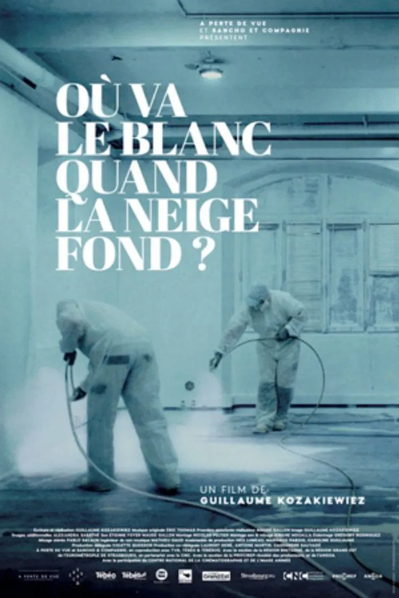 Où va le blanc quand la neige fond poster background