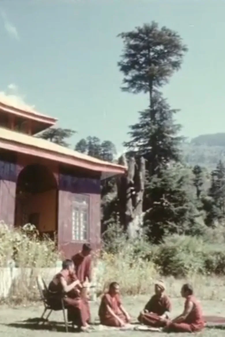 The Land of Buddhism to The Land of Buddha poster background