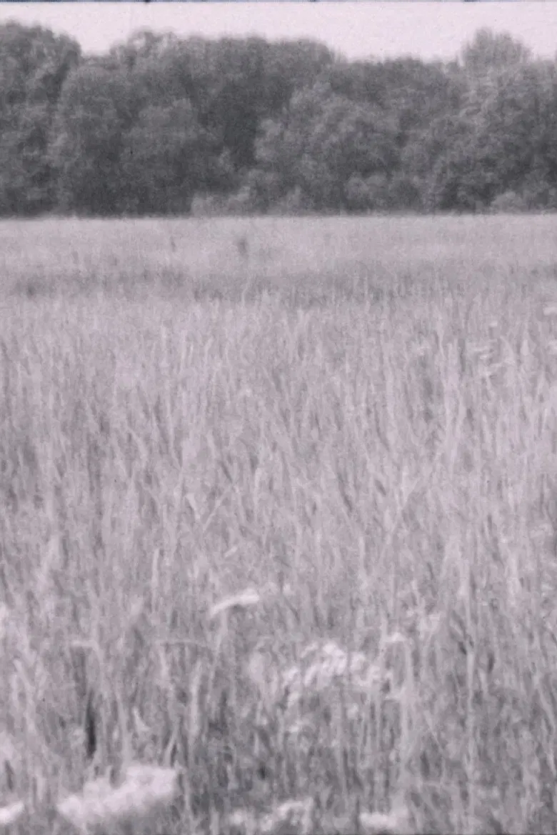 It's About Time poster background