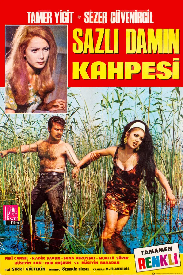 Sazlı Damın Kahpesi poster background