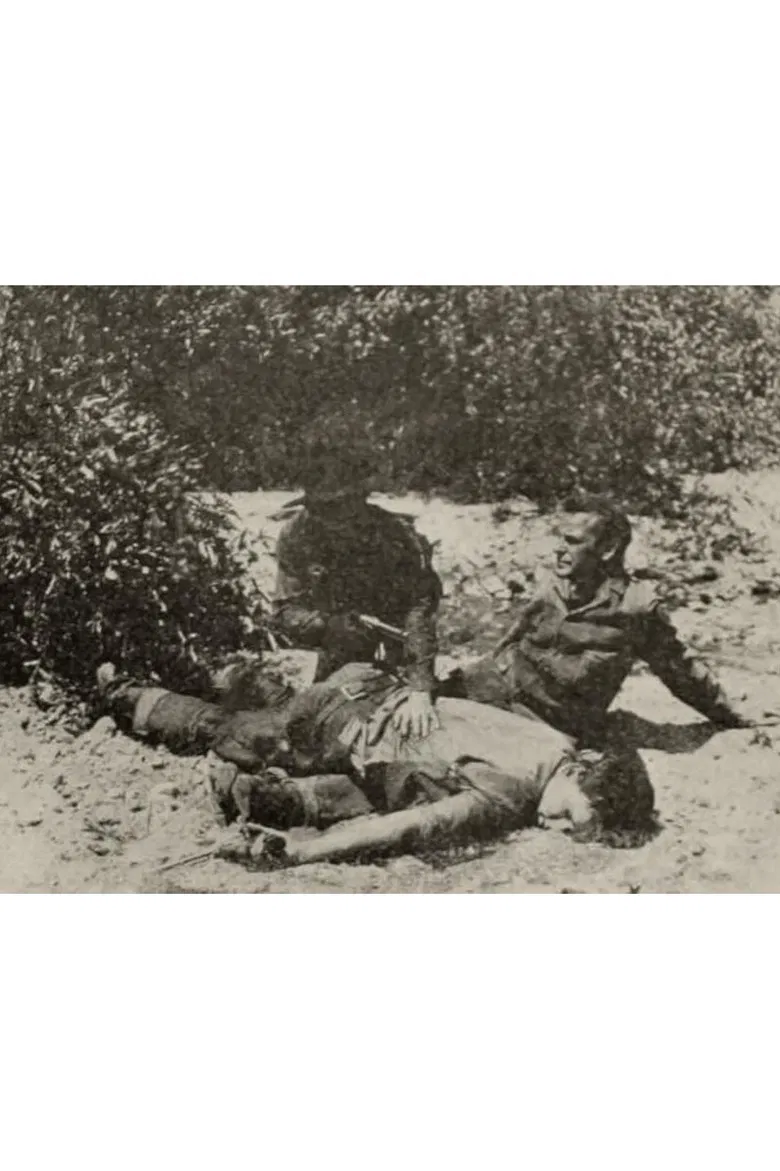 Medicine Bend poster background