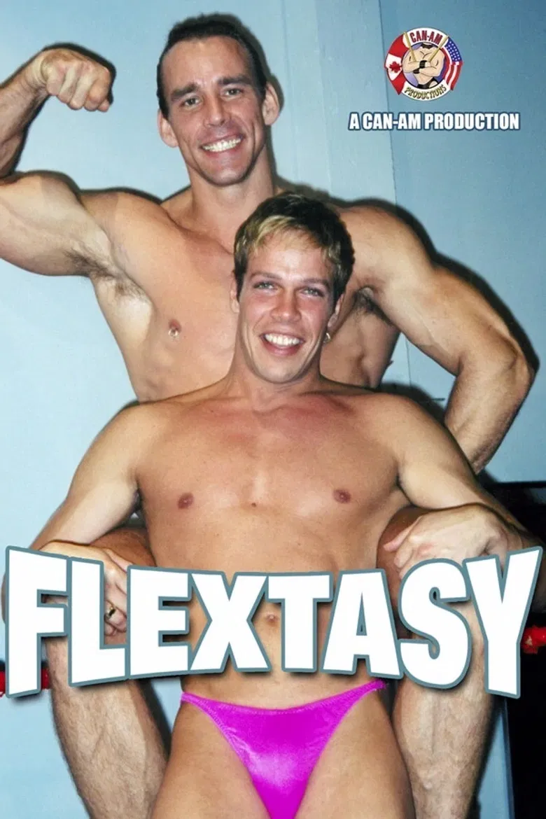FLEXTASY poster background