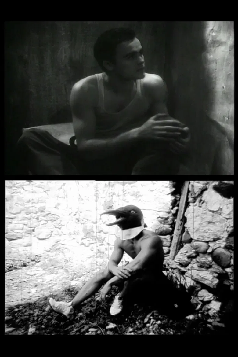 Captifs d'amour poster background