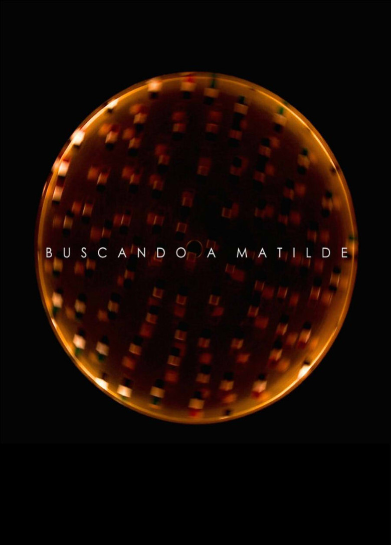 Looking for Matilde poster background