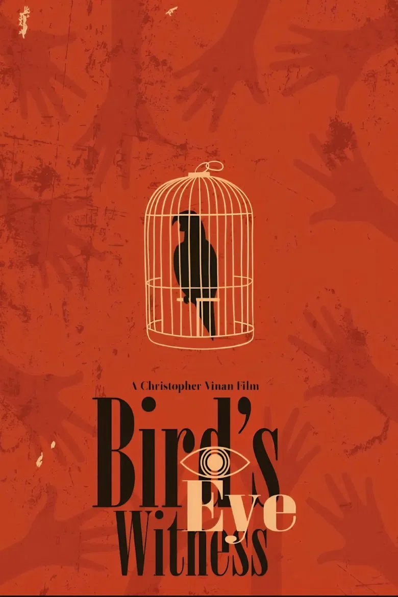 Bird's Eye Witness poster background