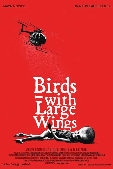 Valiya Chirakulla Pakshikal poster background