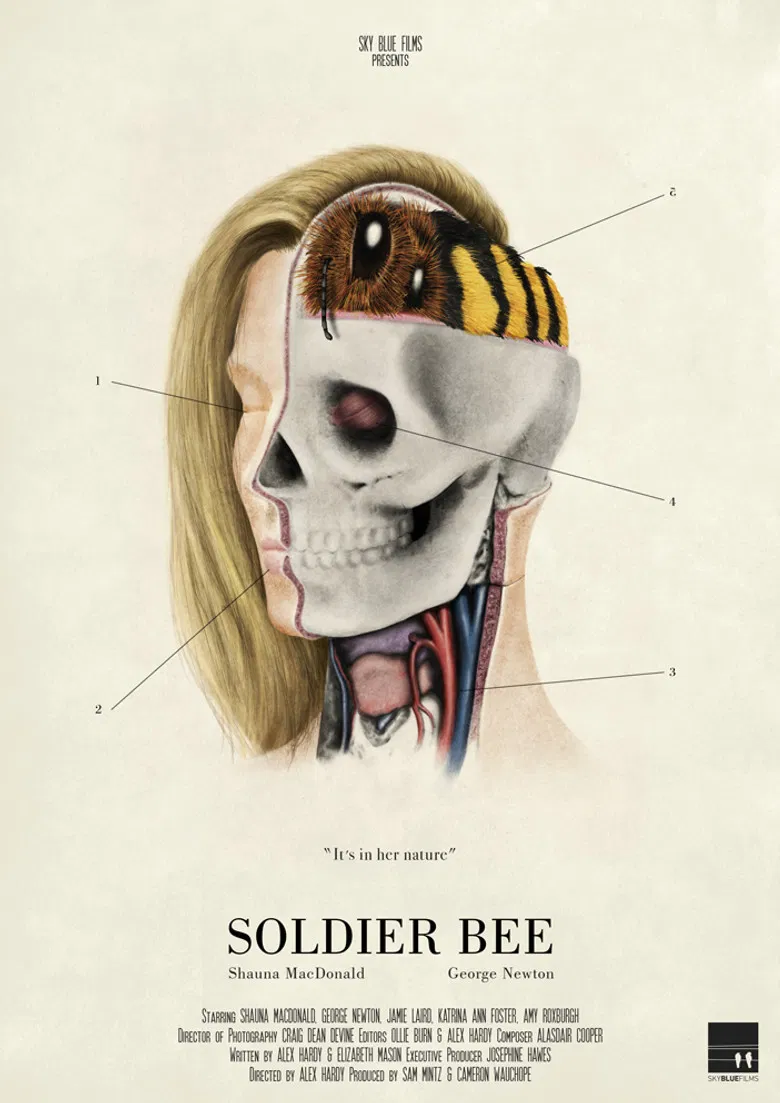 Soldier Bee poster background