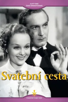 Svatební cesta poster background