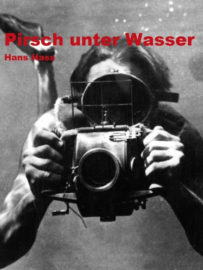 Pirsch unter Wasser poster background