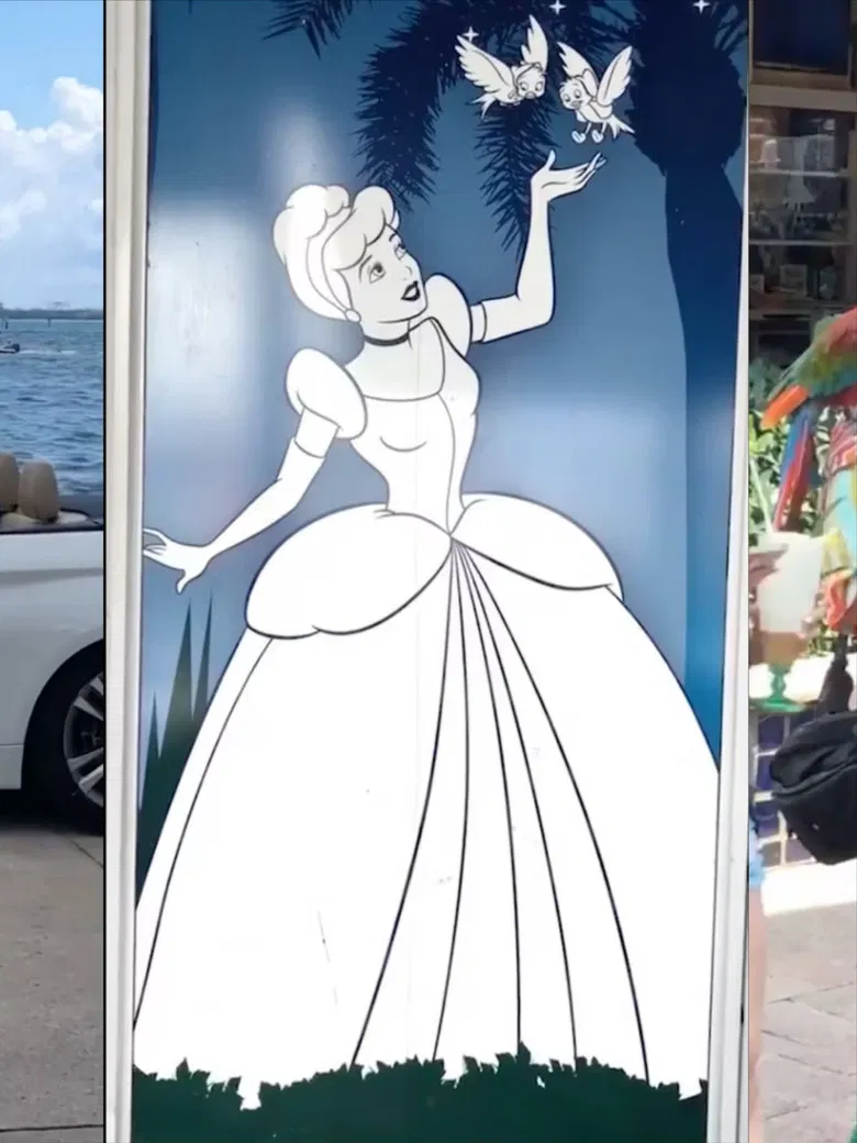 My Trip My Miami poster background