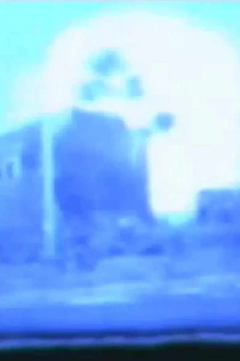 VÖRORT LIBRINO poster background