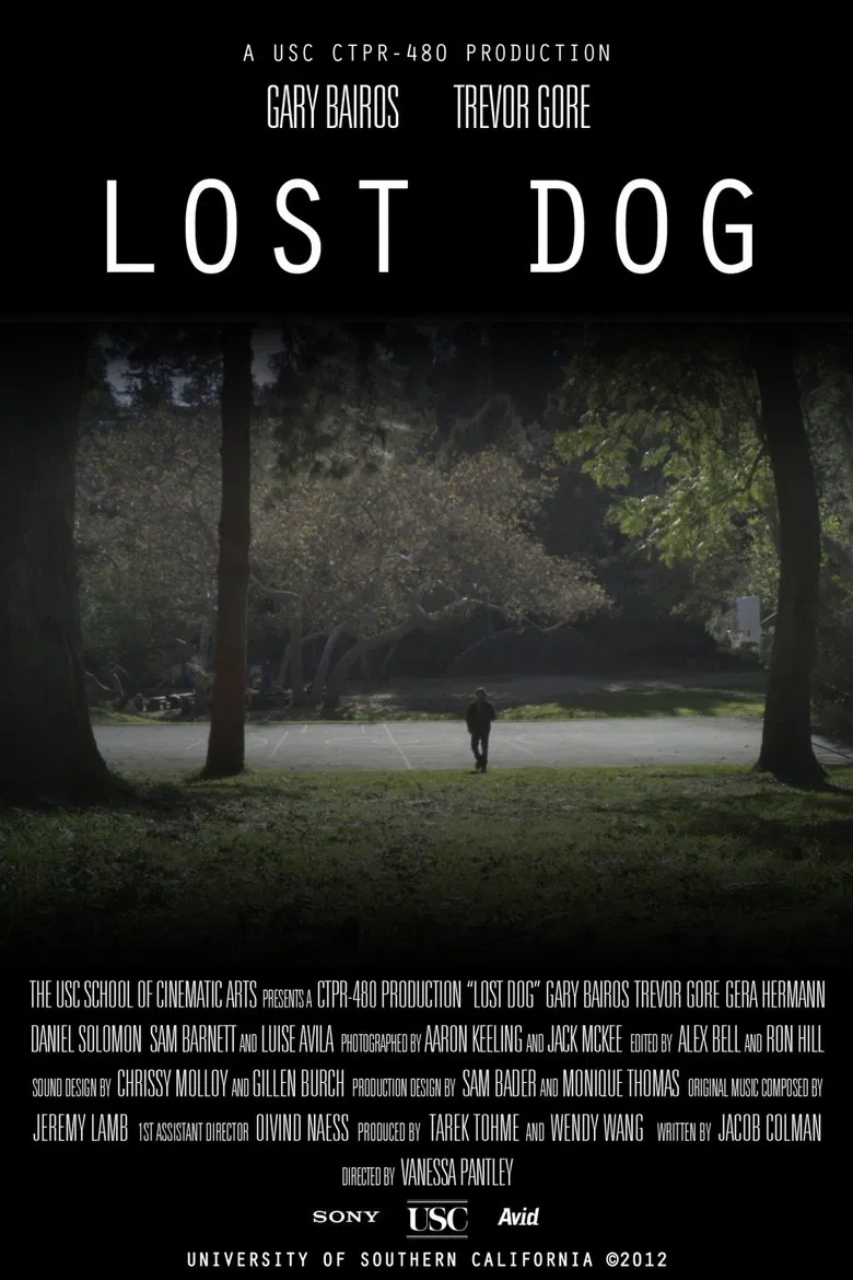 Lost Dog poster background