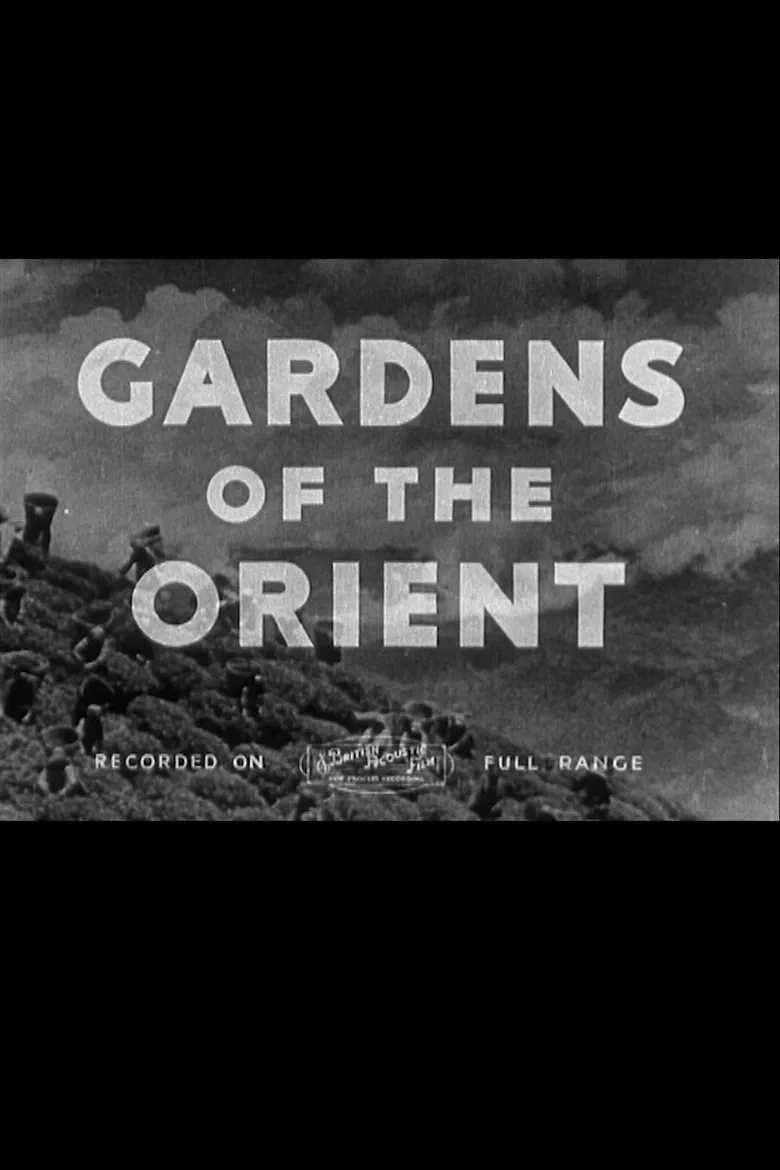 Gardens of the Orient poster background