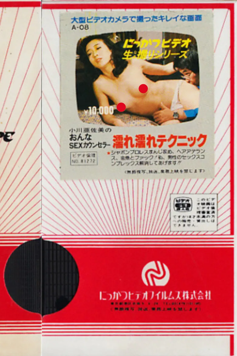 Asami Ogawa: Female SEX Counselor, Wet Technique poster background