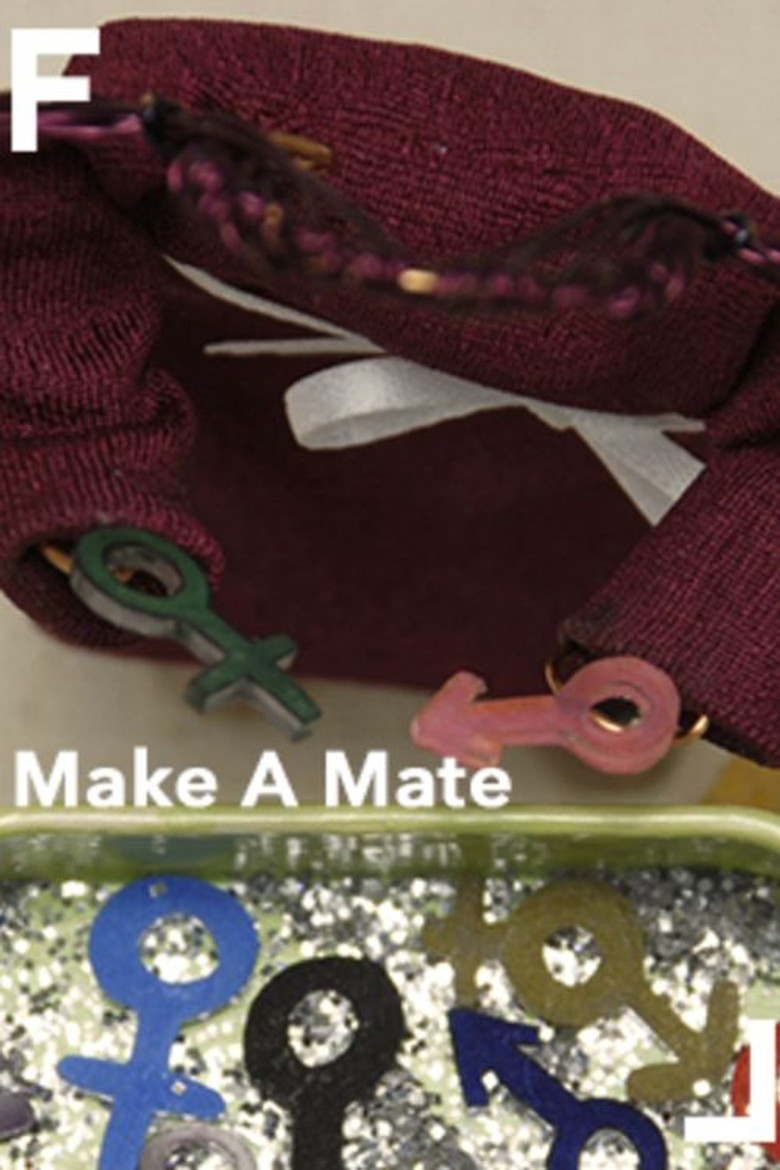 Make a Mate poster background