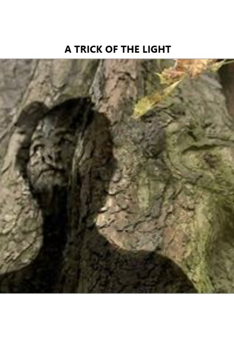 A Trick of the Light poster background