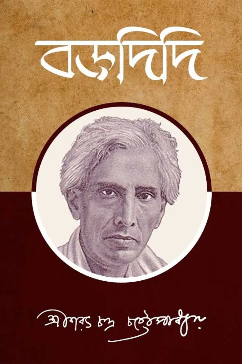 Baradidi poster background