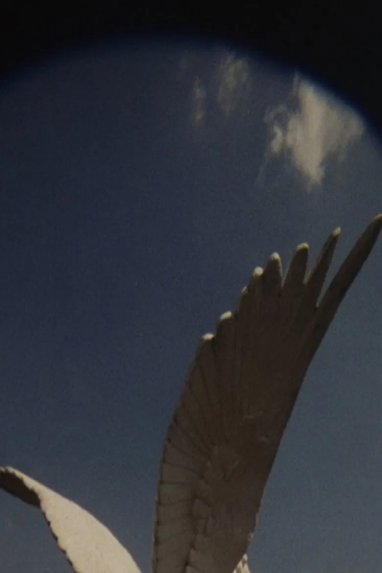 The House, The True One and The One That Follows, Is Yet to be Built poster background