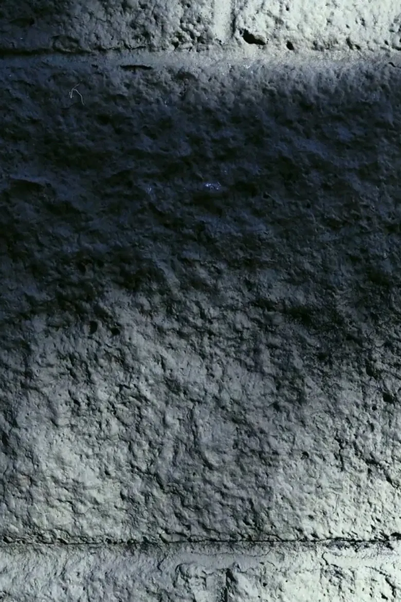 Once Upon a Screen, Explosive Paradox poster background