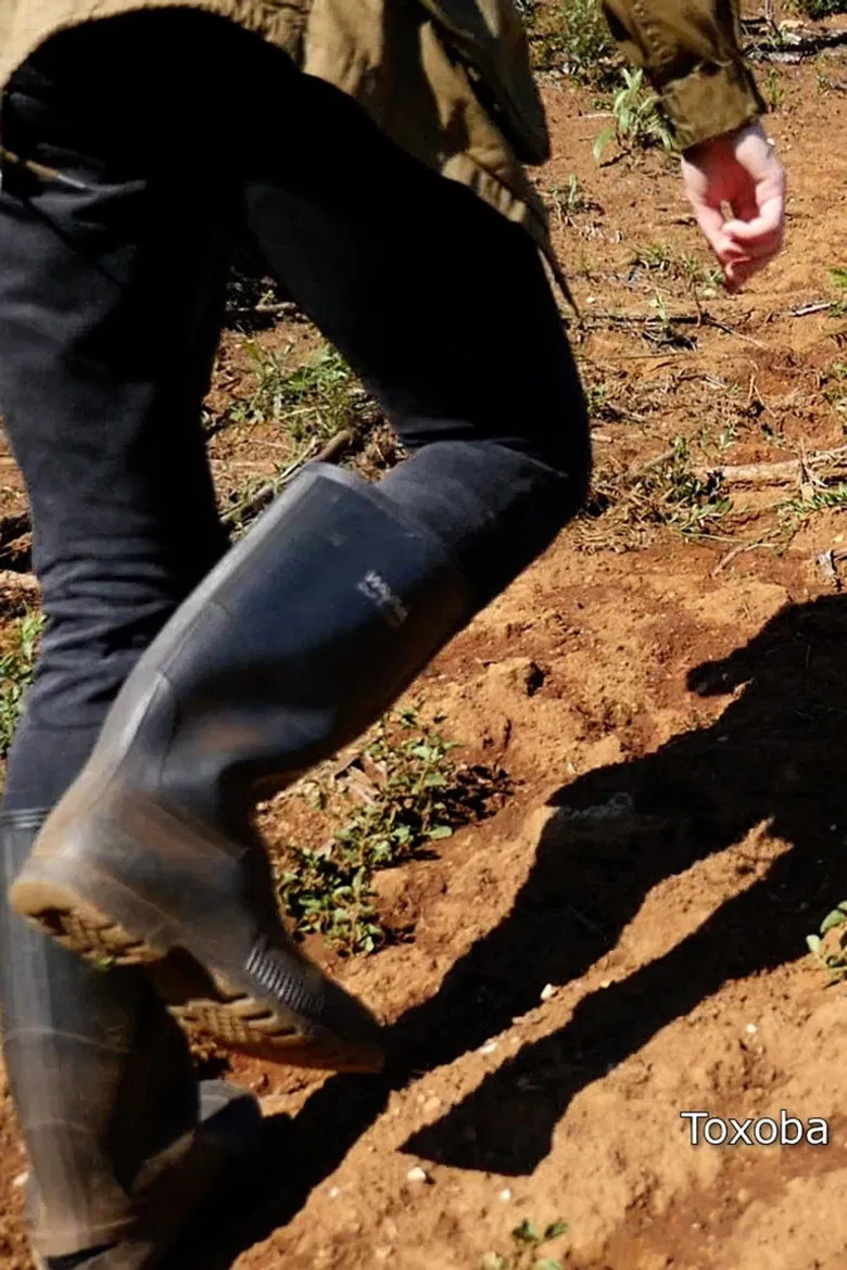 A Few Common Phrases poster background